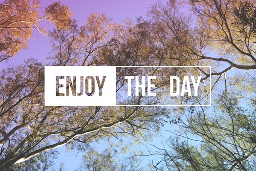 Enjoy the day motivational inspiration quote concept tree landscape. Soft light color hipster style ideal for print card and poster design.