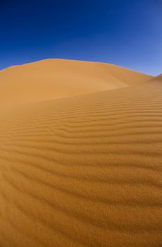 Desert sand, colorful vibrant travel theme