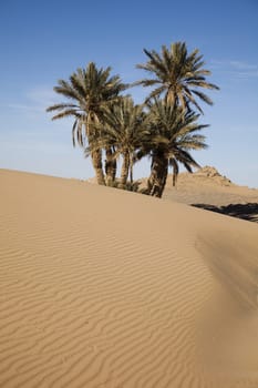 Sahara Desert, merzouga, colorful vibrant travel theme