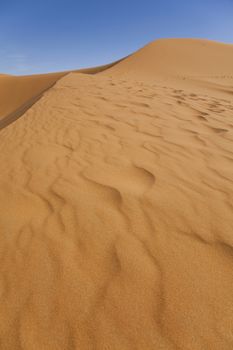 Desert dunes, colorful vibrant travel theme