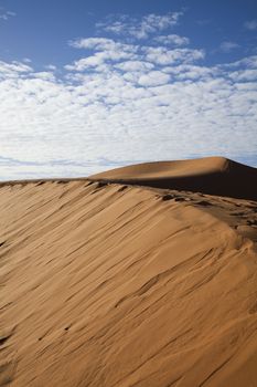 Sand background, colorful vibrant travel theme