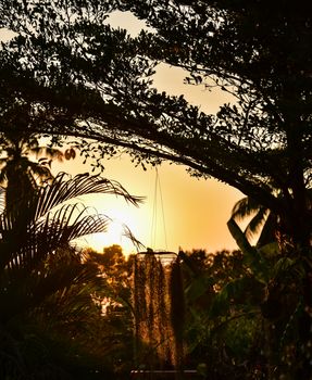 Sun rises over the Clare Valley