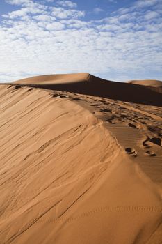 Sandscapes in the desert, colorful vibrant travel theme