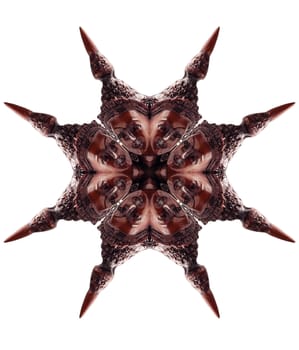  kaleidoscope background pattern