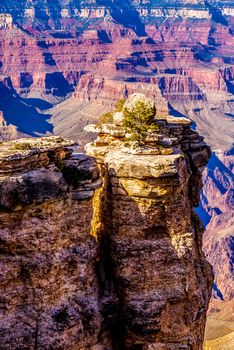 Grand Canyon sunny day with blue sky