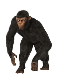 3D digital render of a big chimpanzee isolated on white background