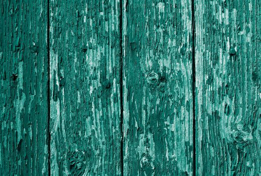 Background of Turquoise Old  Peeling Wood Board closeup. Vertical View