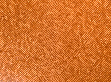 Artificial leather. Macro photo. Imitation snake skin