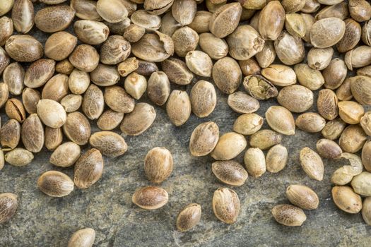 close up background of unshelled hemp seeds on a slate stone