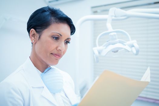 Serious female dentist reading reports