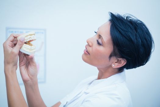 Side view of female dentist looking at mouth model