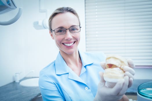 Portrait of smiling young female dentist holding mouth model