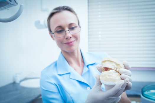 Concentrated female dentist looking at mouth model