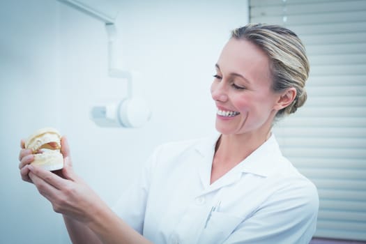 Portrait of smiling young female dentist holding teeth model