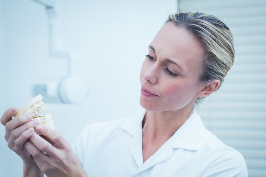 Female young dentist looking at mouth model