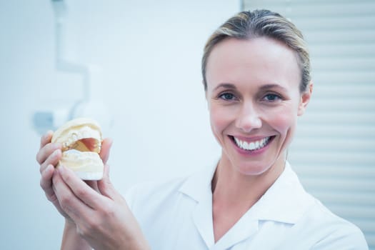 Portrait of smiling female dentist holding mouth model