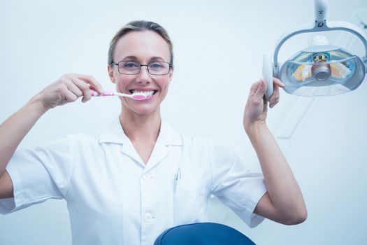 Portrait of smiling female dentist brushing teeth