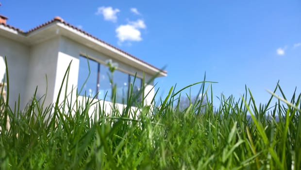 House In Green Field.