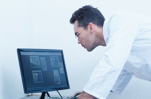 Concentrated male dentist looking at x-ray on computer