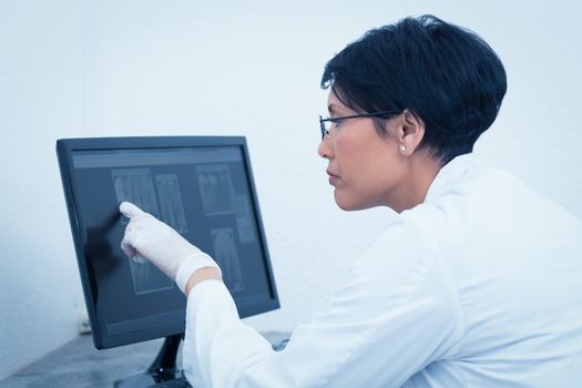 Concentrated female dentist looking at x-ray on computer