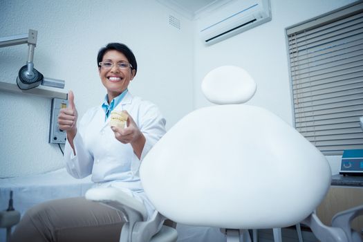 Portrait of happy female dentist gesturing thumbs up while holding mouth model