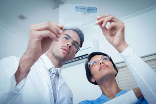 Concentrated two dentists looking at x-ray