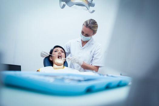 Female dentist examining womans teeth in the dentists chair