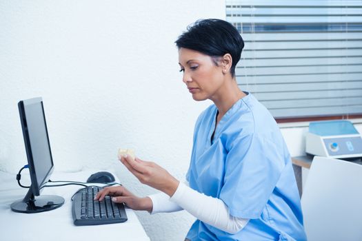 Concentrated female dentist looking at mouth model by computer
