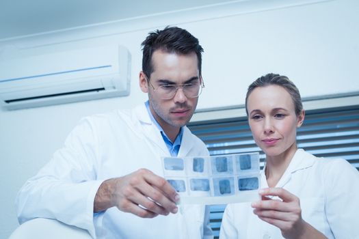 Two concentrated dentists looking at x-ray