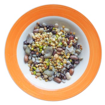 Mixed beans salad, vegetarian dish