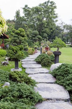 Landscaping in the garden. The path in the garden.