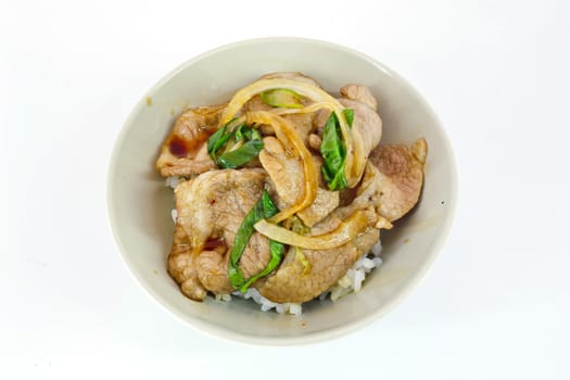 Rice with meat japanese food