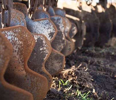 Disc harrow used to cultivate the soil. Close up.