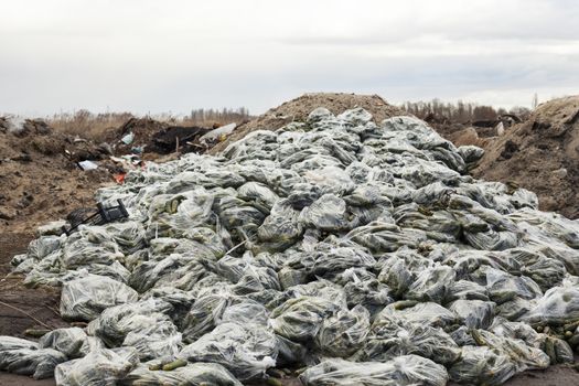 Rotten cucumbers in plastic sacks on the landfill.