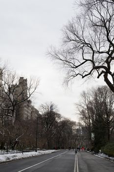 Central Park was initially opened in 1857 and expanded in 1873. It has an expansion of 843 (3.4 square km) acres and is located in the heart of Manhattan
