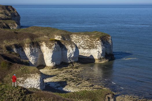 Sea cliffs at Flamborough Head on the North Yorkshire coast in northeast England.