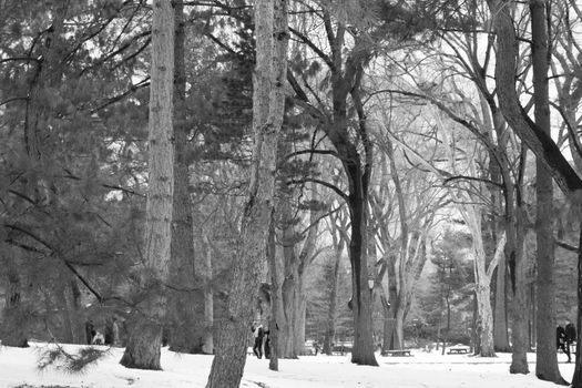 Central Park was initially opened in 1857 and expanded in 1873. It has an expansion of 843 (3.4 square km) acres and is located in the heart of Manhattan