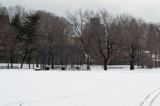 Central Park was initially opened in 1857 and expanded in 1873. It has an expansion of 843 (3.4 square km) acres and is located in the heart of Manhattan