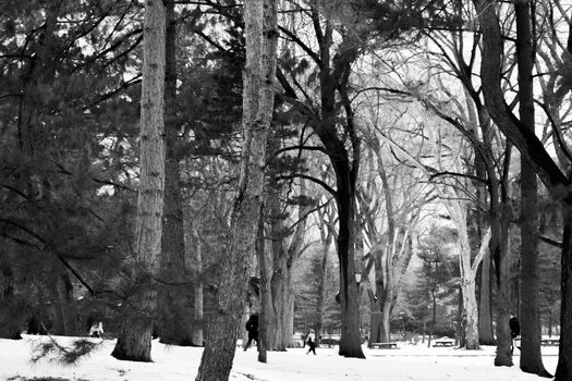 Central Park was initially opened in 1857 and expanded in 1873. It has an expansion of 843 (3.4 square km) acres and is located in the heart of Manhattan