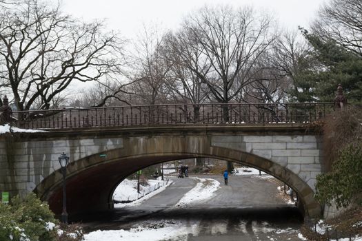 The Winterdale arch was completed in 1862 and is one of the many bridges that you can find in Central park