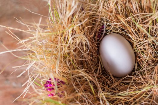 White egg in a nest of hay