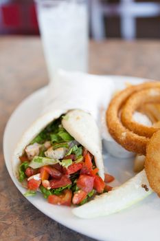 Chicken pita wrap sandwich with onion rings and a deli pickle slice. Shallow depth of field.