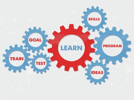 learn, goal, train, test, skills, program, ideas - business education motivation concept words - red blue text in grunge flat design gear wheels