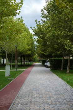 Walking path in the empty park daytime 