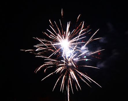 Celebration firework in the black night sky