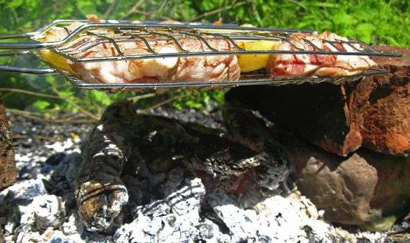 Barbeque Fried On The Bonfire And Coals