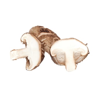 Fresh mushrooms  isolated on white background