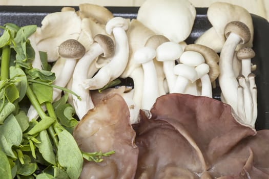 Food pack mushrooms and vegetable 