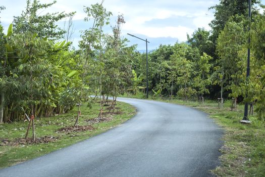 The bend of the country road