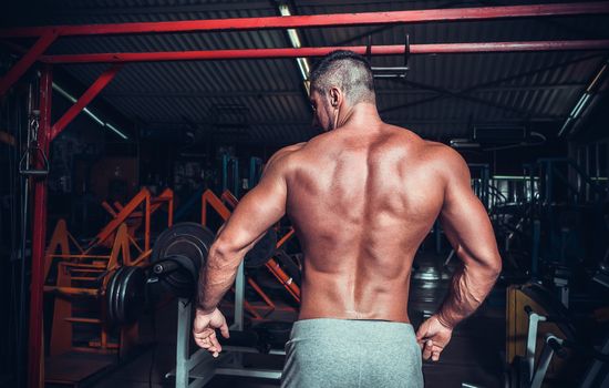 Muscled male model showing his back 